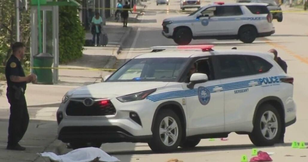 Miami police ask for help in finding driver who struck, killed 76-year-old woman
