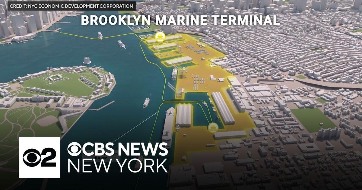 A closer look at the Brooklyn Marine Terminal controversy ahead of key ...