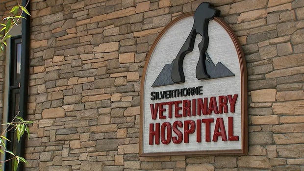 veterinary-hospital2.jpg 