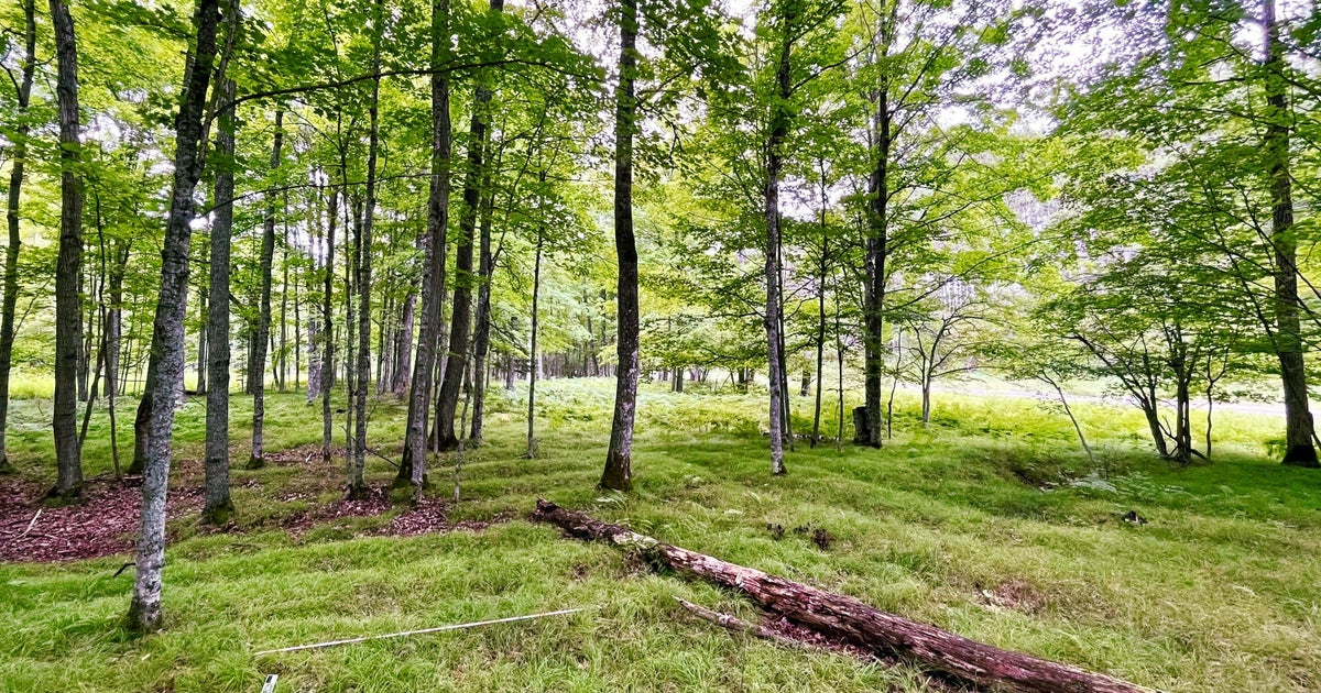 Drones help uncover clues at 1,000-year-old indigenous farm site in Michigan 