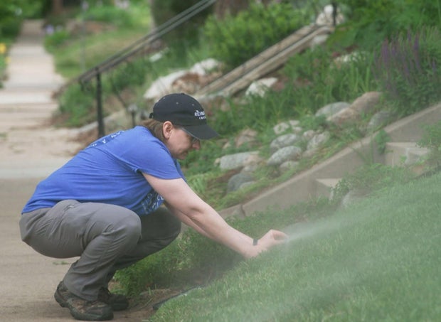 sprinklers.jpg 