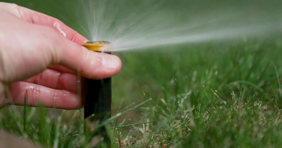 Free sprinkler system evaluations saving water and money 