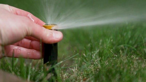 sprinklers-1.jpg