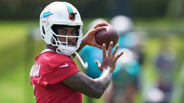Dolphins Football 