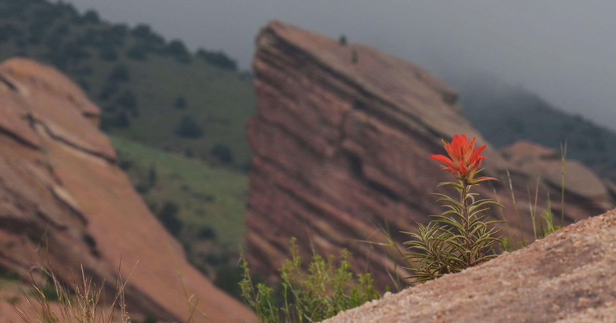 Pilot program in the works for a Red Rocks public shuttle 