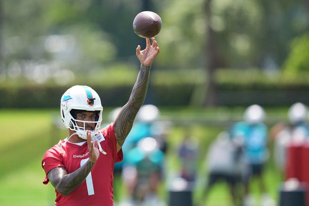Dolphins Football 