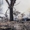 Air India plane crashes shortly after takeoff, carrying more than 240 people