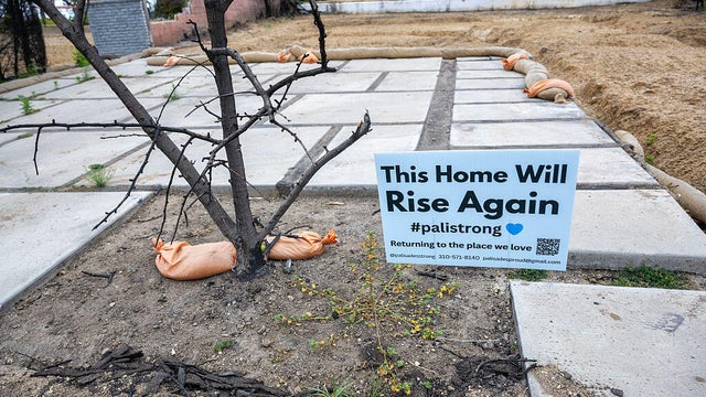 Residential Areas And Homes Destroyed by Palisades Fires 