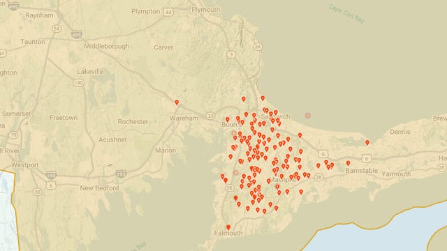 cicada-maps.jpg 
