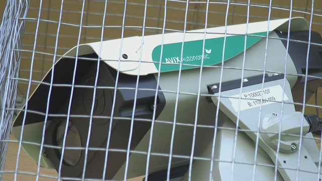 snapshot-2025-06-12t173921-837.jpg 