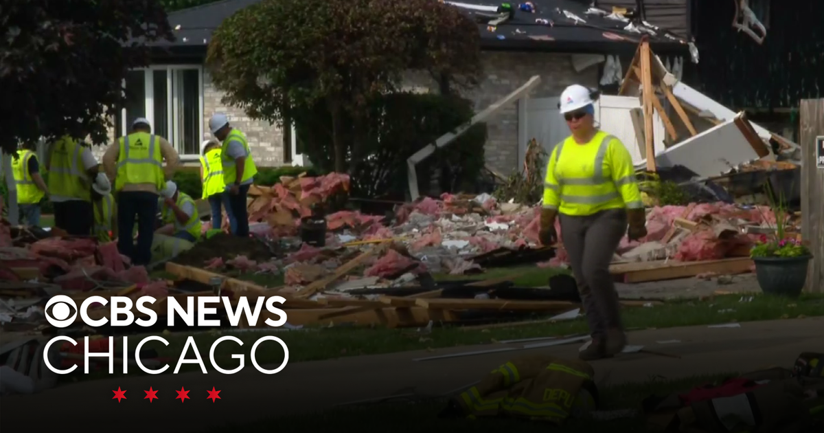Illinois, South Carolina House Explosions Kill Two