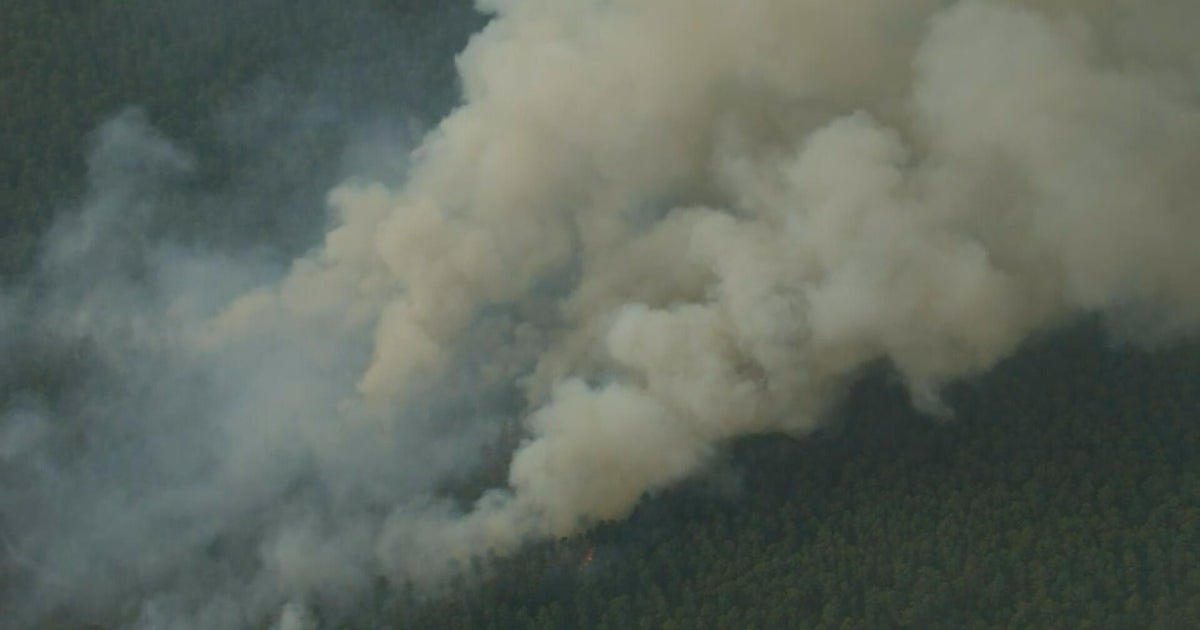 Wildfire burning in New Jersey's Wharton State Forest 