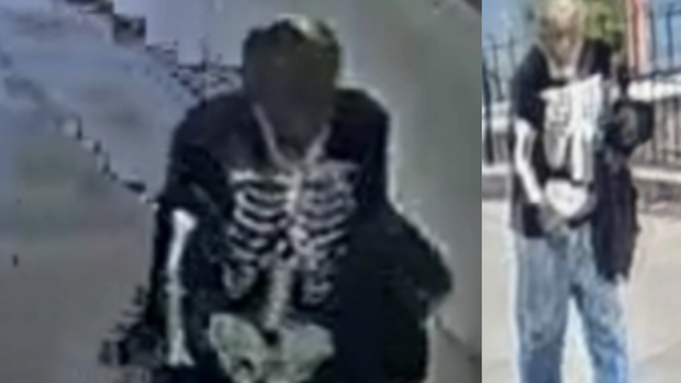 Suspect in Dearborn Park sexual abuse of 2 minors 