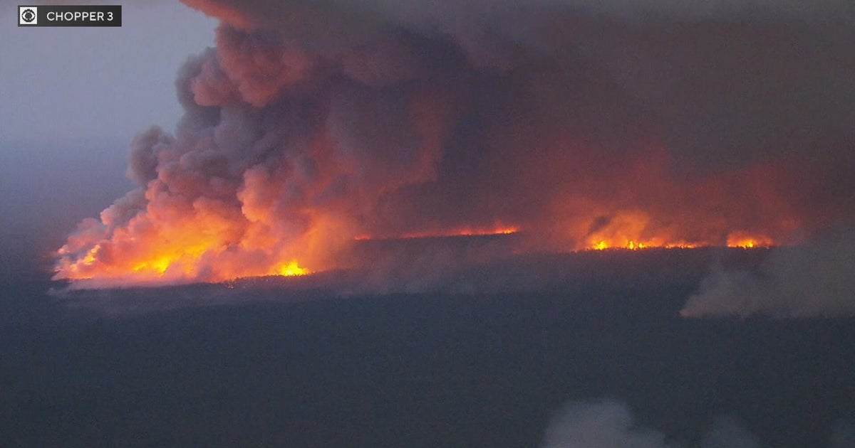 Wildfire burning in New Jersey's Wharton State Forest 
