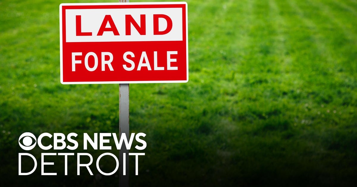 Detroit property authority hits major milestone in boosting city appeal