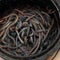 The "magic" of worm grunting
