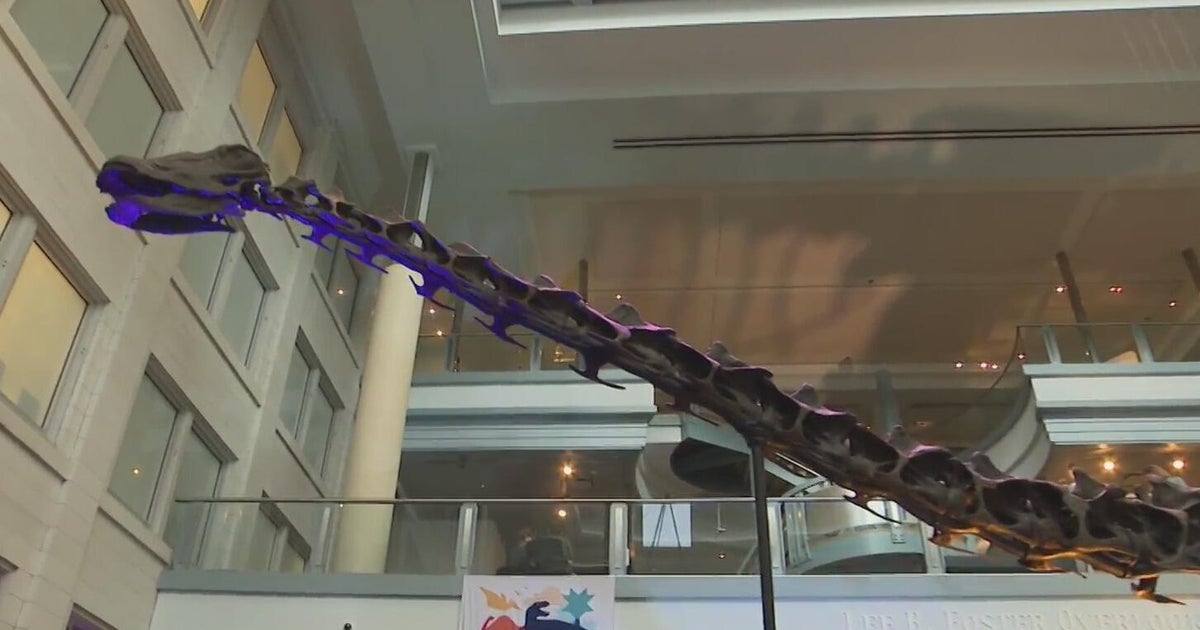 Inaugural "DinoFest" takes over Carnegie Museum of Natural History 