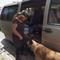 Growing number of Americans 55 and older are experiencing homelessness