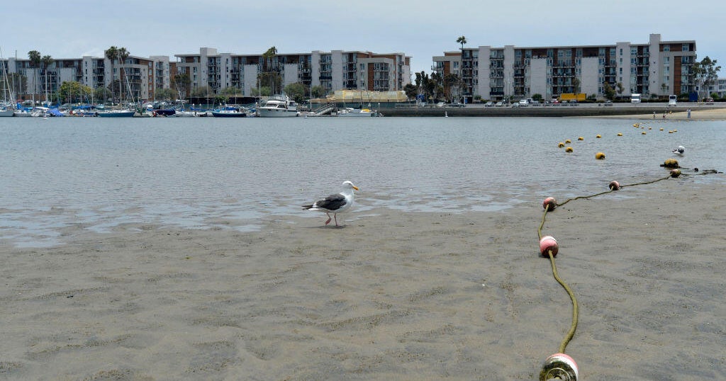 LA County issues ocean water warnings for several beaches 