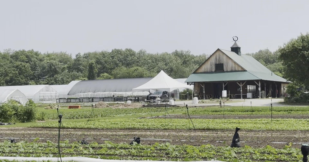 Concord farm donates all the produce it grows to fight food insecurity in Massachusetts Concord farm donates all the produce it grows to fight food insecurity in Massachusetts