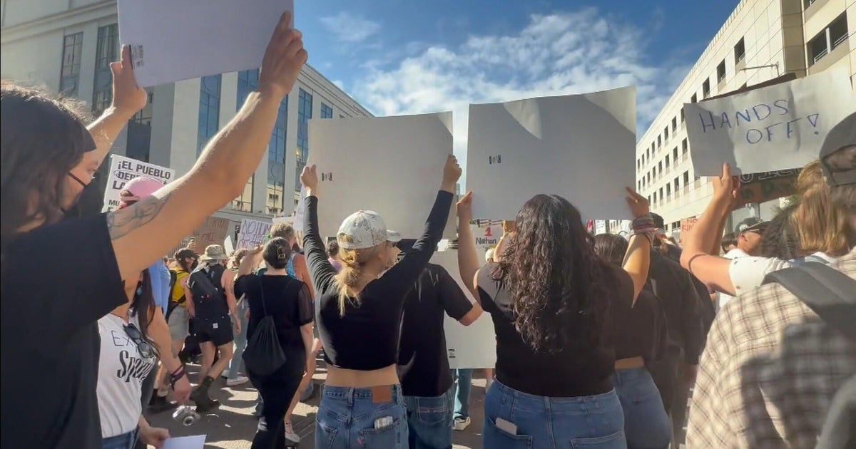 Who is behind the weekend's nationwide protest and when is the next one? 