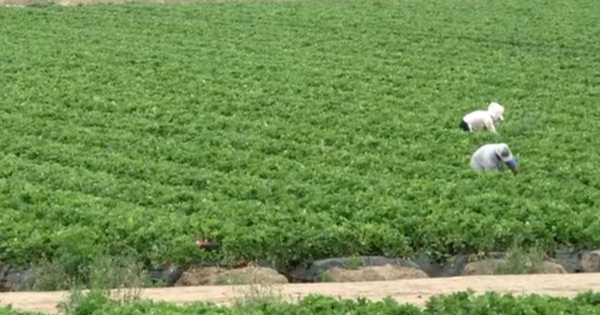 Migrant farm workers express concern about ICE raids