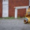 Cuts to FEMA's storm prep program hit communities that voted for Trump