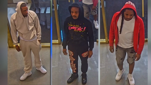 alo-yoga-oakbrook-center-theft-suspects.png 