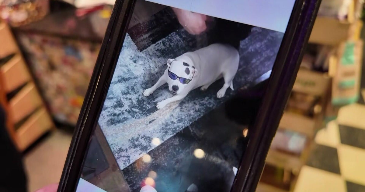 Police on Long Island warn people about paying thousands online for dogs that may not exist