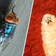 First human screwworm case linked to travel confirmed in U.S., HHS says 