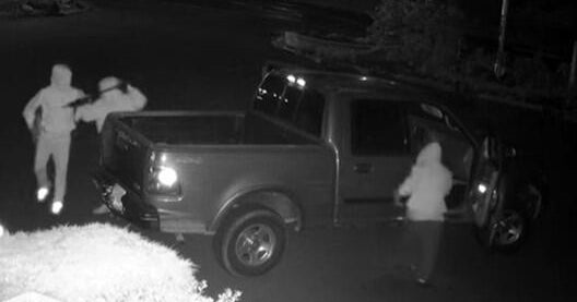 Thieves load truck with leaf blowers, chainsaws and flee Pa. lawn store 