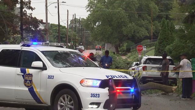 18vo-11th-street-tree-down-transfer-frame-1298.jpg 