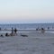 Early summer shark bites prompt beach safety warnings