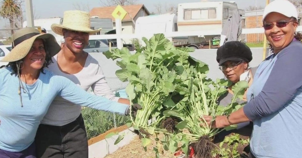 How Black farmers are planting seeds of change in California's Central Valley 