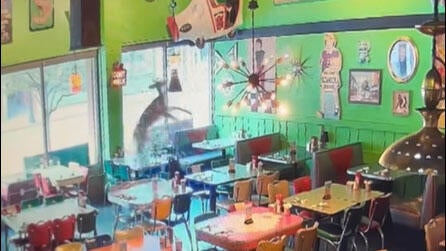 deer-restaraunt.jpg 