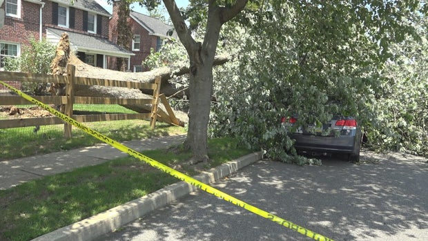 havertown-storm-damage.jpg 