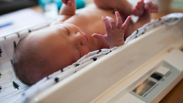 High angle view of baby boy sleeping on weight scale 