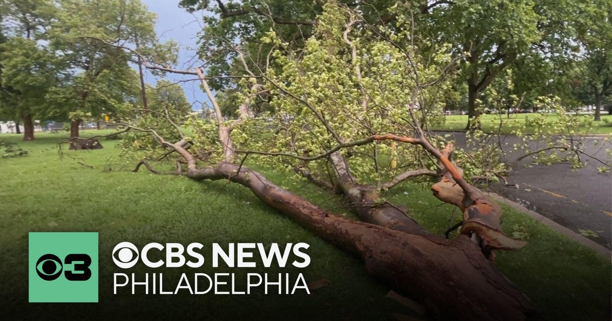 Philadelphia area shares storm damage images on social media - CBS ...