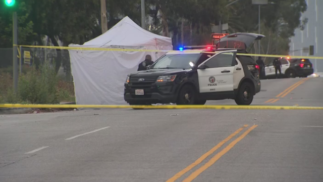 westlake-district-deadly-hit-and-run.png 