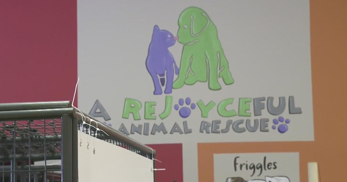 Detroit-area animal shelter flooded after severe weather