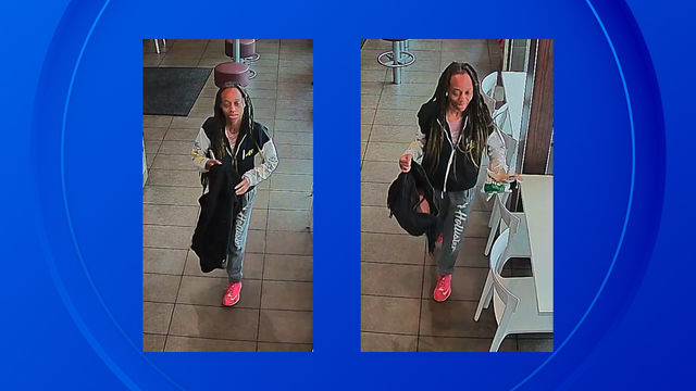 Dearborn police search for mother of 3 
