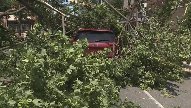 strickland-4p-pkg-roxborough-storm-damage-620-frame-1798.jpg
