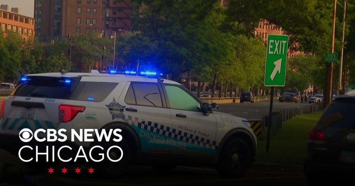 Police investigate deadly hit-and-run on DuSable Lake Shore Drive in ...