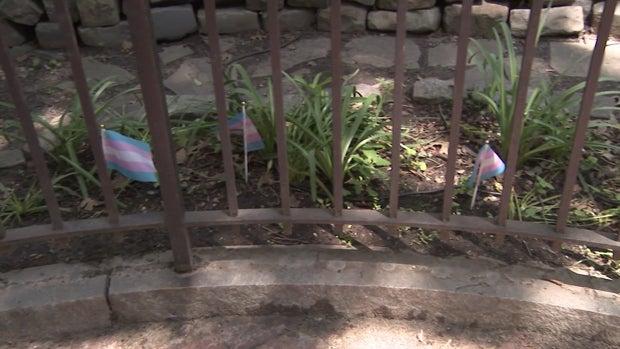 Three small transgender flags stuck in soil behind a fence in Stonewall National Monument park. 