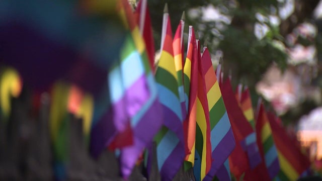 Rainbow Pride flags on display at Stonewall National Monument in New York City on June 20, 2025 