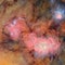World's largest telescope unveils first images of galaxies in stunning detail