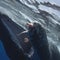 6/22/2025: The Sperm Whales of Dominica; Monkey Island; Hanging On