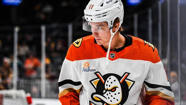 Anaheim Ducks v Boston Bruins 