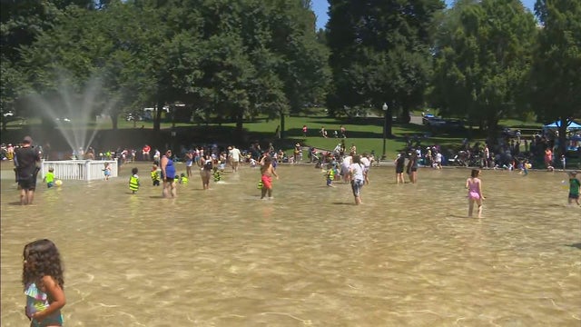 boston-hot-frog.jpg 