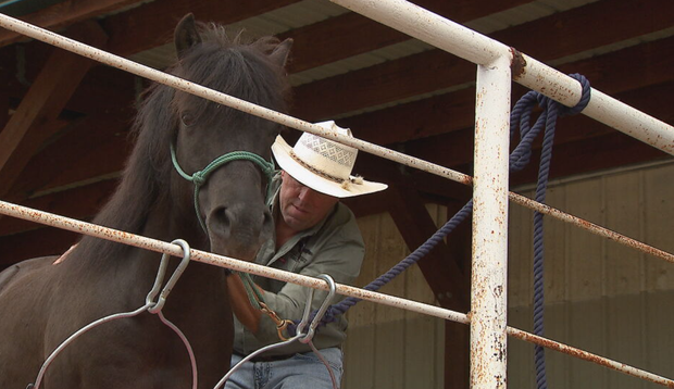 veteran-with-horse.png 